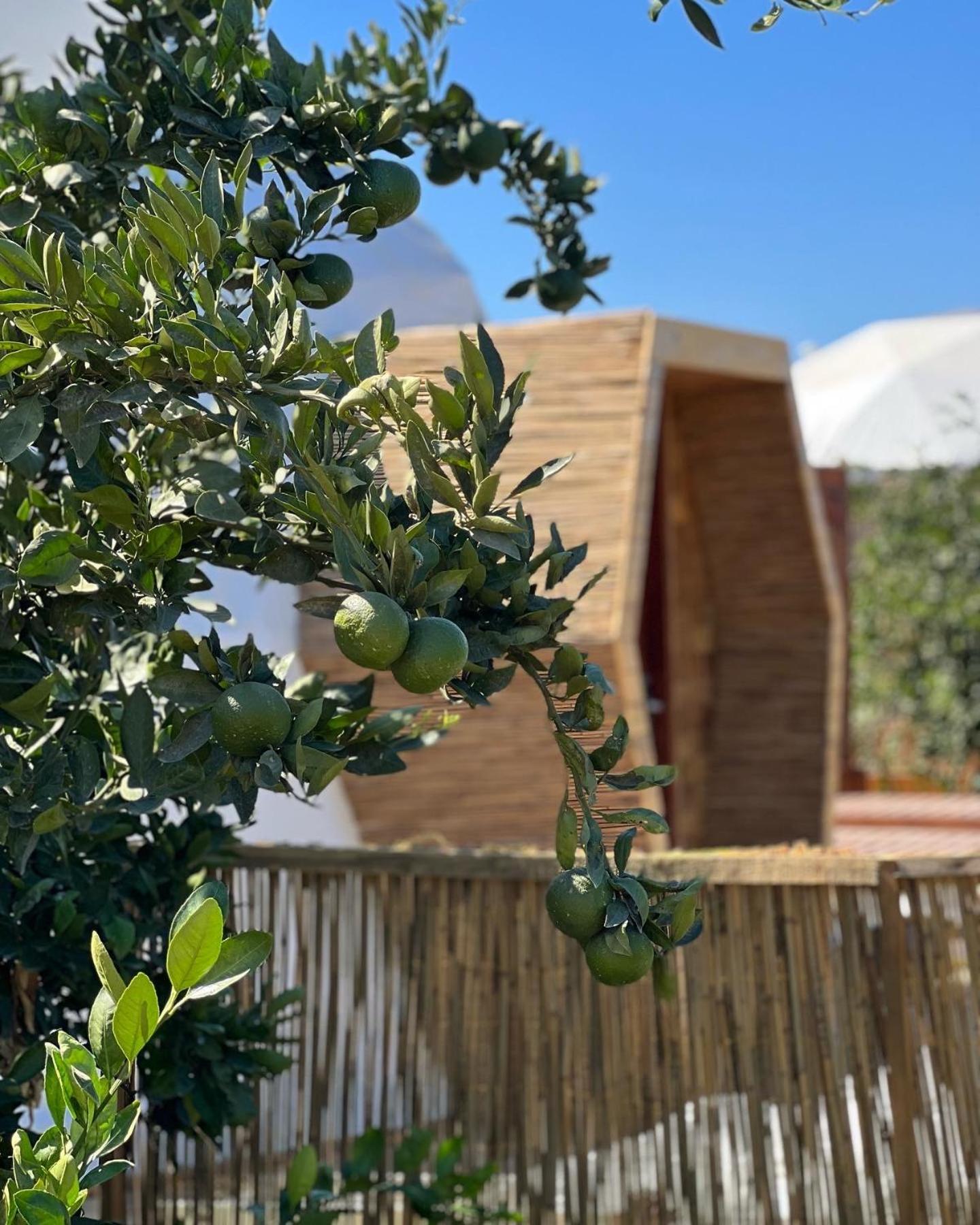 Отель Mandalin Glamping Сельчук Экстерьер фото